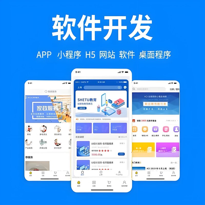 天津软件开发：数字化转型的新引擎